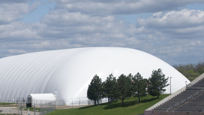 ��������������Ĥ